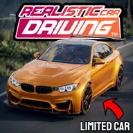 Realistic Car Driving icon