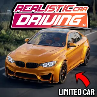 Realistic Car Driving icon