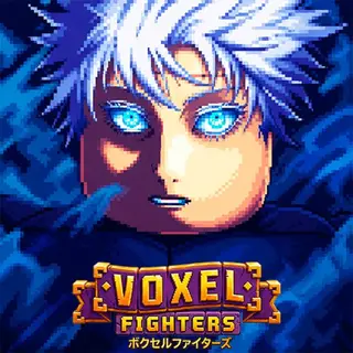Voxel Fighters icon